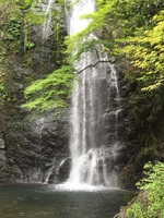 箕面公園　箕面の滝